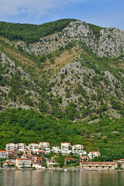 Kotor Μαυροβούνιο Σεπτεμβρίου 2021 Γραφική Παλιά Πόλη — Φωτογραφία Αρχείου