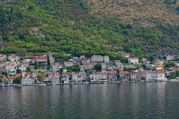 Kotor Černá Hora Září 2021 Kotorský Záliv — Stock fotografie