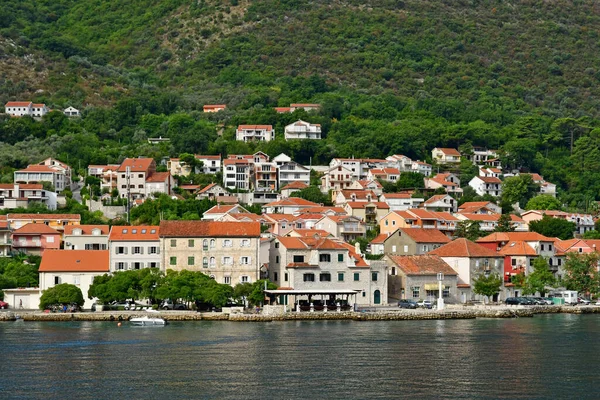 Kotor Montenegro Sestab 2021 Kotor Bay — Stok Foto