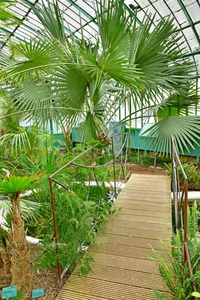 Paris France July 2021 Auteuil Greehouses Garden Created 1898 — Stock Photo, Image