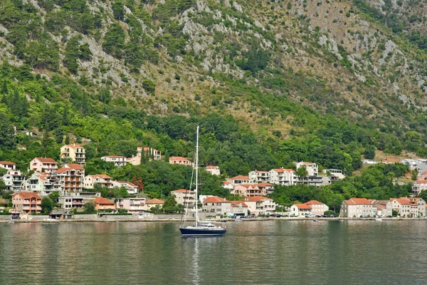 Kotor Montenegro September 2021 Pittoreske Oude Stad — Stockfoto