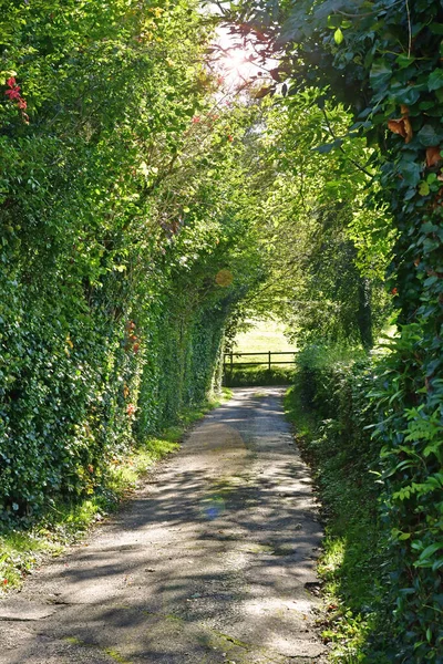 Lione Foret Francia Ottobre 2021 Pittoresco Villaggio Normandia — Foto Stock