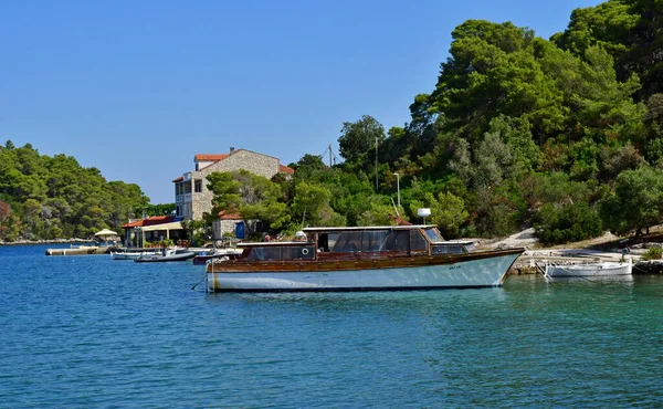 Insel Mljet Kroatien September 2021 Die Malerische Insel Sommer — Stockfoto