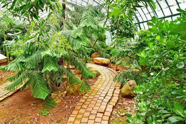 Parigi Francia Luglio 2021 Giardino Delle Serre Auteuil Creato Nel — Foto Stock