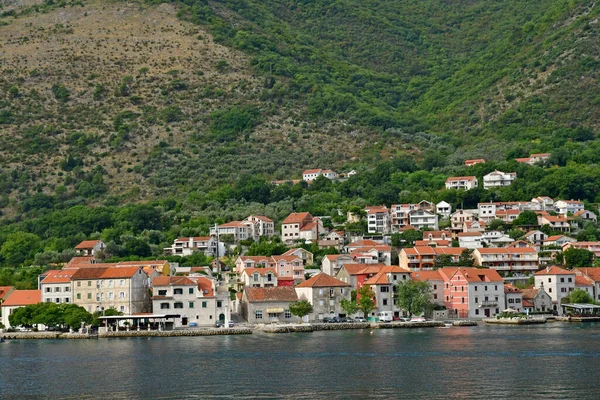 Kotor Czarnogóra Wrzesień 2021 Zatoka Kotor — Zdjęcie stockowe