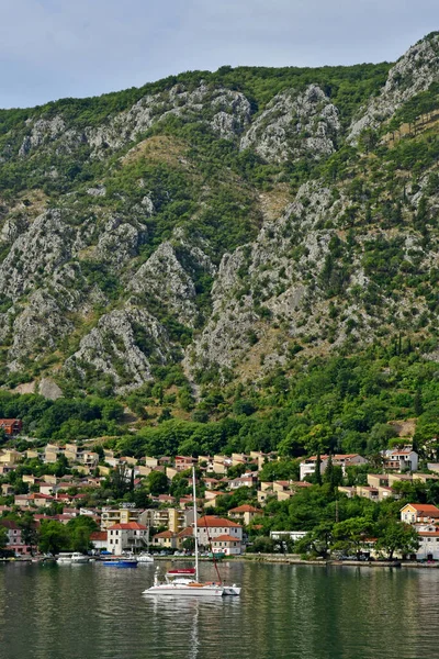 Kotor Černá Hora Září 2021 Malebné Staré Město — Stock fotografie