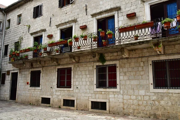 Kotor Μαυροβούνιο Σεπτεμβρίου 2021 Γραφική Παλιά Πόλη — Φωτογραφία Αρχείου