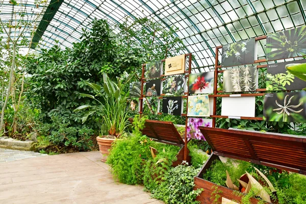 Parijs Frankrijk Juli 2021 Auteuil Greehouses Tuin Aangelegd 1898 — Stockfoto