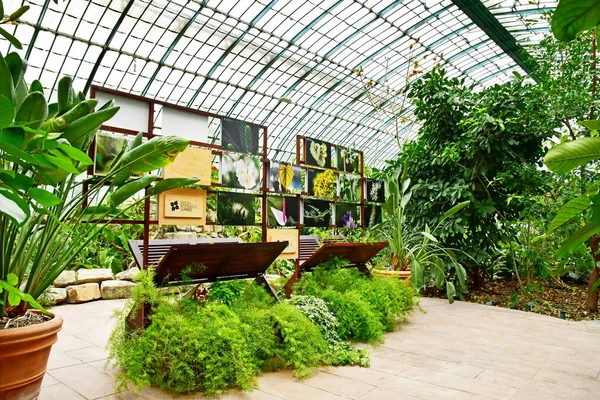 Paris 프랑스 July 2021 Auteuil Greehouse Garden 1898 — 스톡 사진