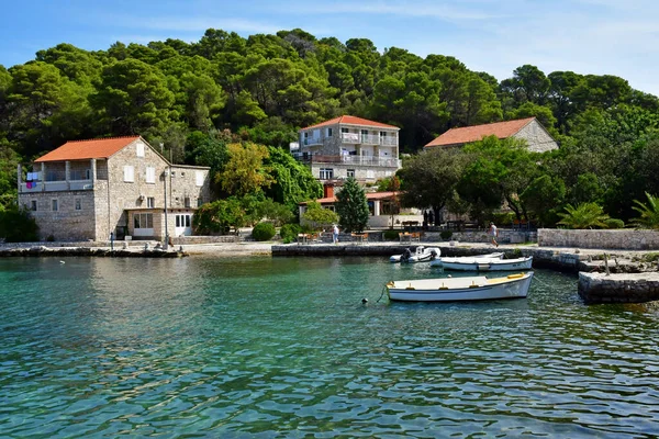 Insel Mljet Kroatien September 2021 Die Malerische Insel Sommer — Stockfoto