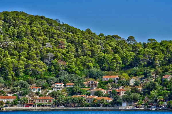 Île Mljet Croatie Septembre 2021 Île Pittoresque Été — Photo