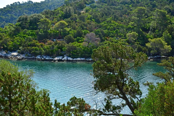 Острів Млет Хорватія Вересня 2021 Мальовничий Острів Влітку — стокове фото