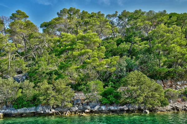 Ostrov Mljet Chorvatsko Září 2021 Malebný Ostrov Létě — Stock fotografie