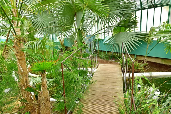 Paris Frankreich Juli 2021 Der Garten Der Greehouses Auteuil Der — Stockfoto