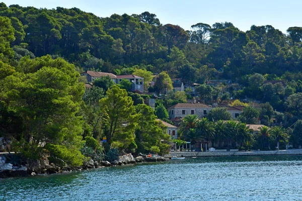 Isola Mljet Croazia Settembre 2021 Pittoresca Isola Estate — Foto Stock