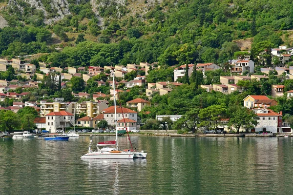 Kotor Czarnogóra Wrzesień 2021 Malownicze Stare Miasto — Zdjęcie stockowe