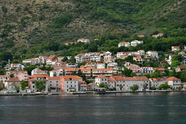 Kotor Monténégro Septembre 2021 Baie Kotor — Photo