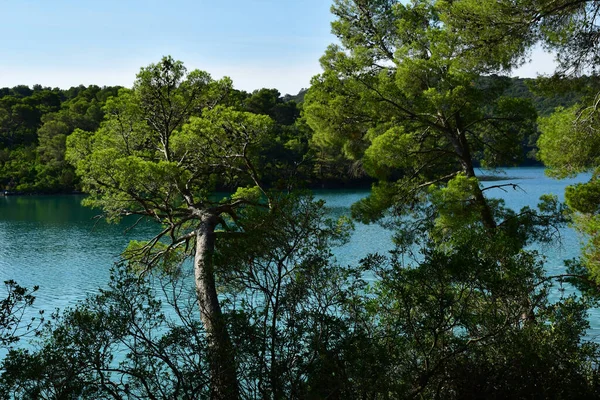 Mljet Island Croatia September 2021 Picturesque Island Summer — Stock Photo, Image