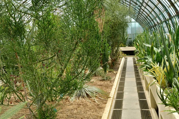 Paris France July 2021 Auteuil Greehouses Garden Created 1898 — Stock Photo, Image