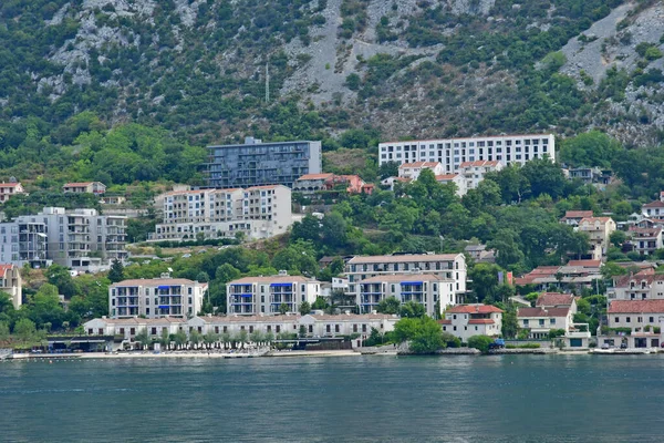 Kotor Černá Hora Září 2021 Kotorský Záliv — Stock fotografie
