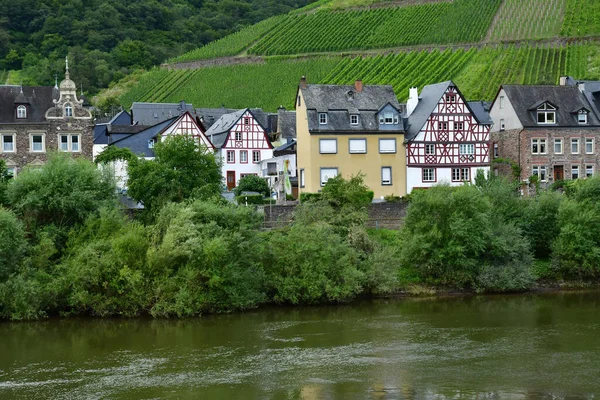 Moselle Valley Bremm Germany August 2021 Valley Vineyard — Stock Photo, Image