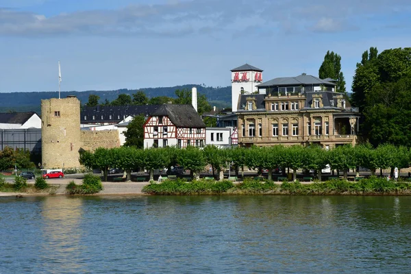 莱茵河谷 2021年8月11日 德国Eltville 威斯巴登附近的莱茵河谷 — 图库照片