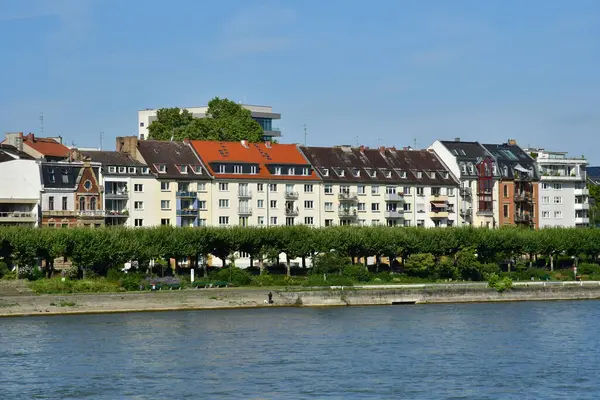 Mainz Duitsland Augustus 2021 Stad Vanaf Rijn — Stockfoto
