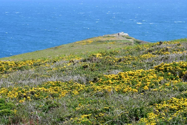 Plogoff Francia Mayo 2021 Cap Sizun — Foto de Stock