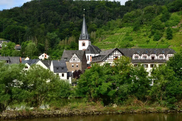 Moselle Valley Germany August 2021 Valley Vineyard Coblenz — Stock Photo, Image
