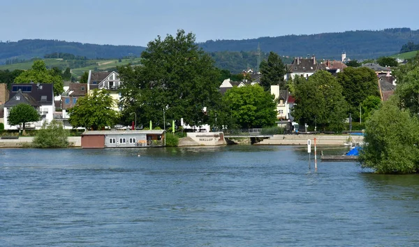 Vallée Rhin Allemagne Août 2021 Vallée Rhin Près Wiesbaden — Photo