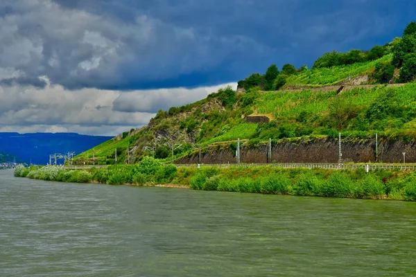 Rhine Valley Germany August 2021 Valley Medieval Castles Niderheimbach — Stock Photo, Image