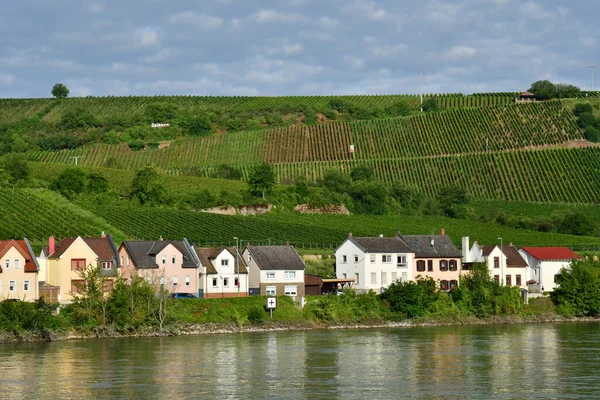 Долина Рейну Германія Аугуст 2021 Круїз Між Страсбургом Майнцем — стокове фото
