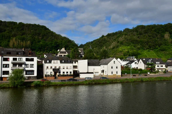 Vallée Moselle Allemagne Août 2021 Vallée Vignoble — Photo