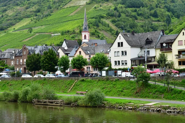 Moezelvallei Ediger Duitsland Augustus 2021 Het Dal Van Wijngaard — Stockfoto