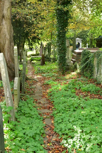 汉普斯特德 2021年10月21日 英格兰 古老的公墓 — 图库照片