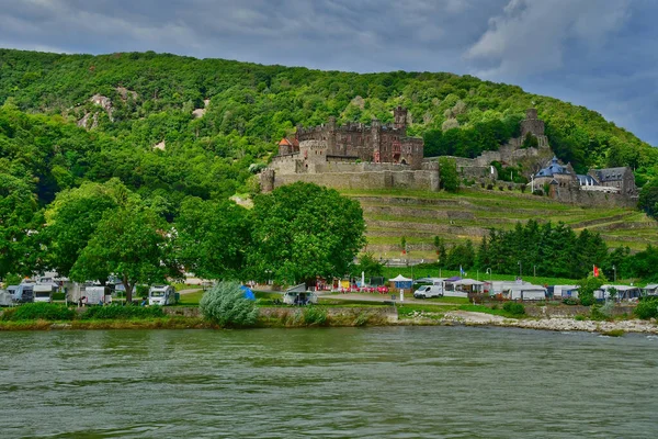 Рейнская Долина Германия Августа 2021 Года Замок Рейхенштайн Долине Средневековых — стоковое фото