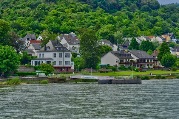 Vallée Rhin Allemagne Août 2021 Vallée Des Châteaux Médiévaux — Photo