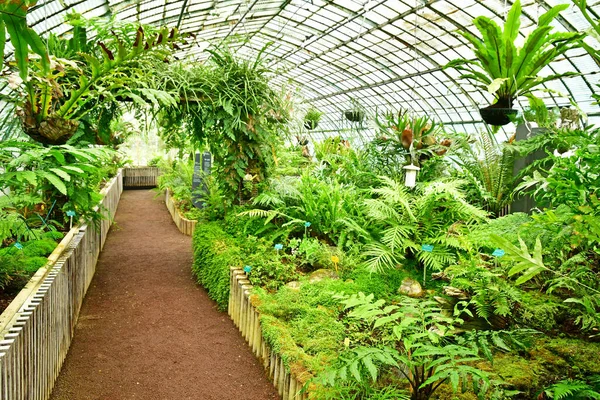 Paris Frankreich Juli 2021 Der Garten Der Greehouses Auteuil Der — Stockfoto