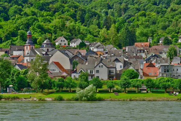 Rhendalen Tyskland Augusti 2021 Dalen Medeltida Slott — Stockfoto