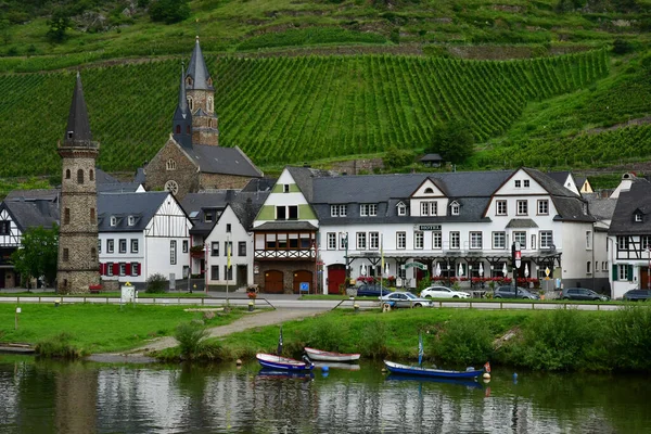 Moselle Valley Germany August 2021 Valley Vineyard — Stock Photo, Image