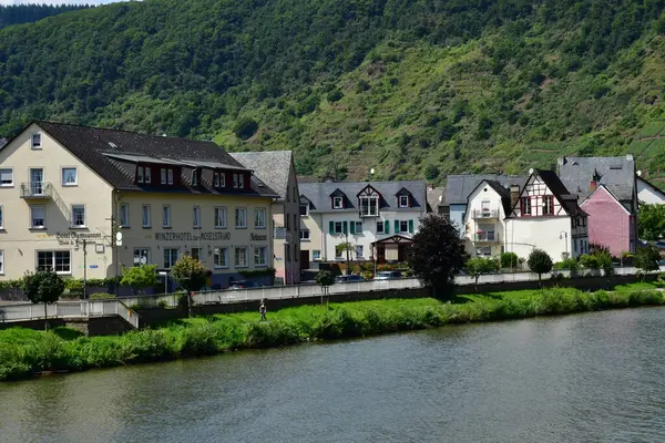 Moselle Vadisi Briedern Almanya Ağustos 2021 Üzüm Bağı Vadisi — Stok fotoğraf