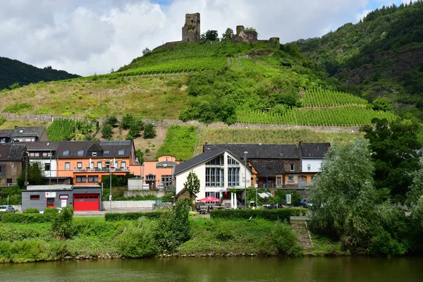 Moselle Valley Klotten Germany August 2021 Valley Vineyard — Stock Photo, Image