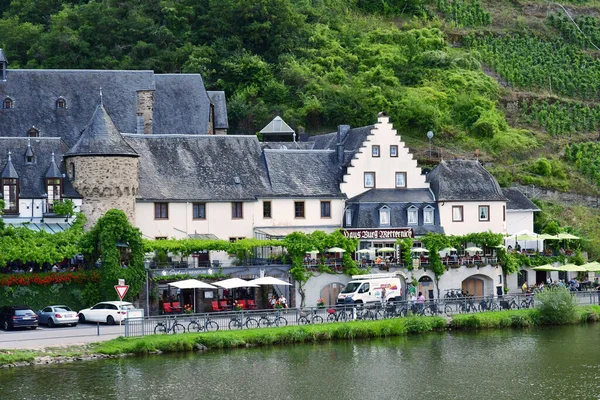 Moezelvallei Beilstein Duitsland Augustus 2021 Het Dal Van Wijngaard — Stockfoto