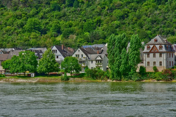 Rhendalen Tyskland Augusti 2021 Dalen Medeltida Slott — Stockfoto