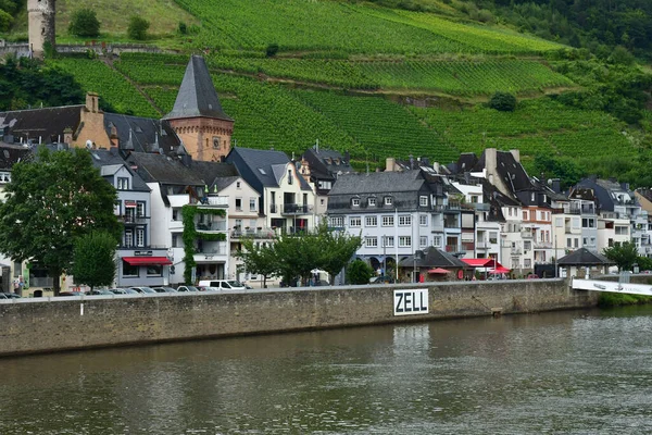 Vallée Moselle Zell Allemagne Août 2021 Vallée Vignoble — Photo