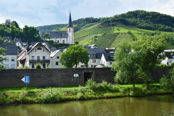 Moselle Vadisi Briedel Almanya Ağustos 2021 Üzüm Bağı Vadisi — Stok fotoğraf