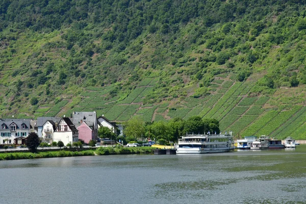 Долина Мозель Брідерн Німеччина 2021 Долина Виноградника — стокове фото