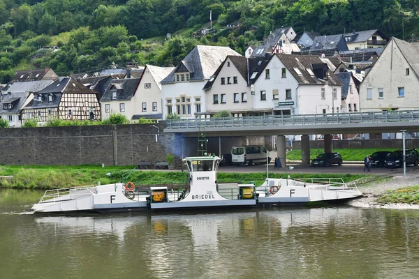 Vallée Moselle Briedel Allemagne Août 2021 Vallée Vignoble — Photo