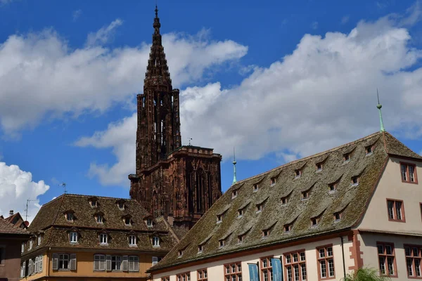 Estrasburgo França Agosto 2021 Pitoresco Centro Cidade Verão Catedral Notre — Fotografia de Stock