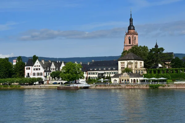 Rhine Valley Eltville Germany August 2021 Rhine Valley Wiesbaden — Stock Photo, Image